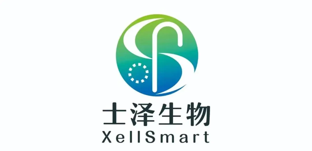 日韩欧美一区二区三区免费观看