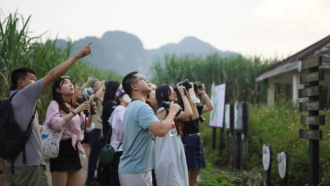 日韩欧美一区二区三区免费观看