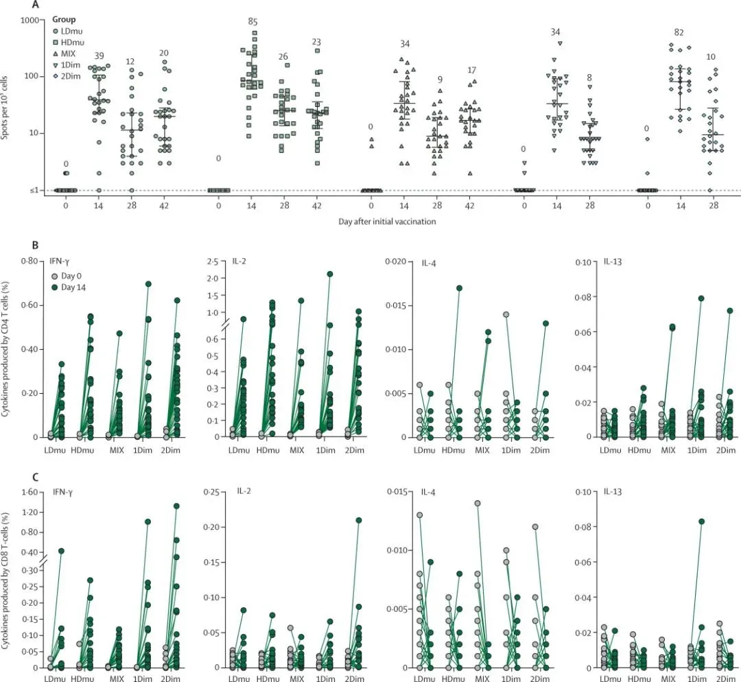 日韩欧美一区二区三区免费观看