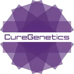 日韩欧美一区二区三区免费观看