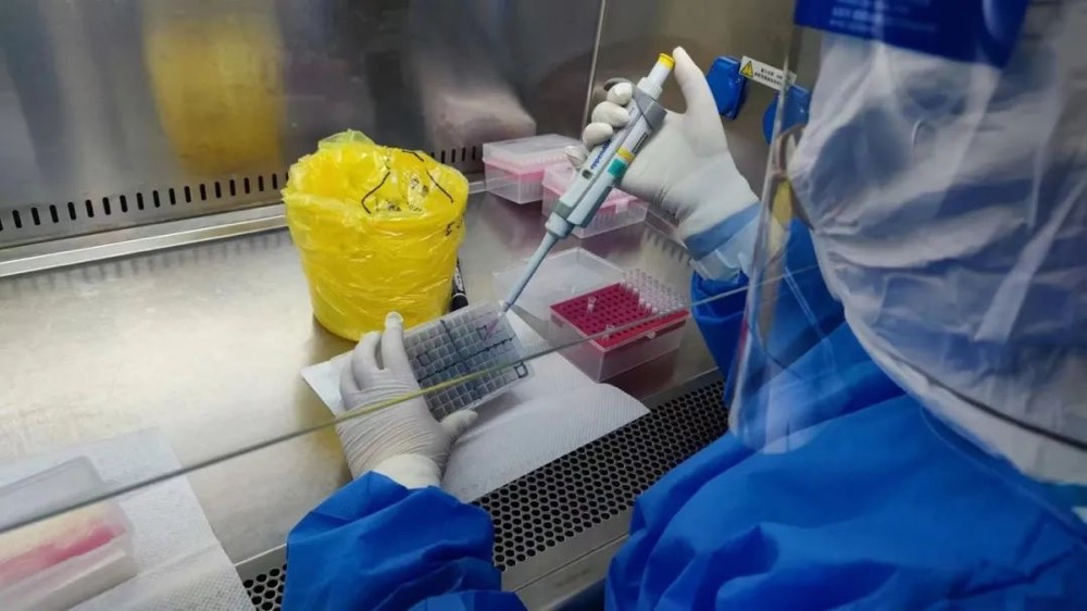 日韩欧美一区二区三区免费观看