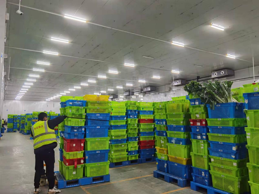 日韩欧美一区二区三区免费观看