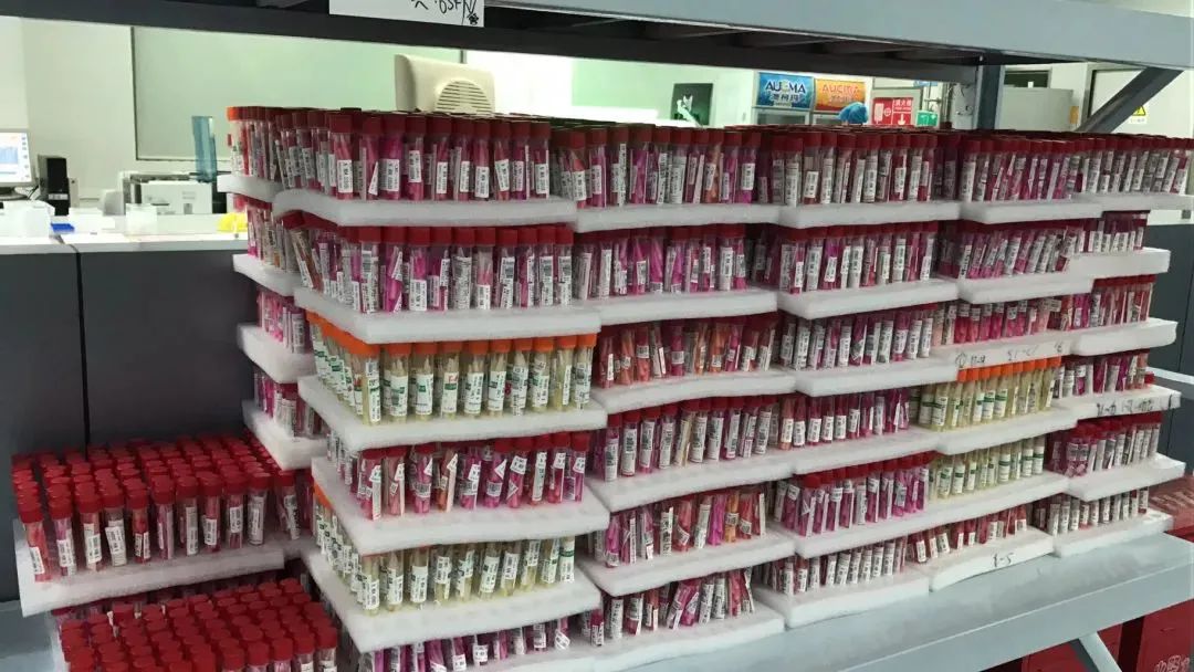 日韩欧美一区二区三区免费观看