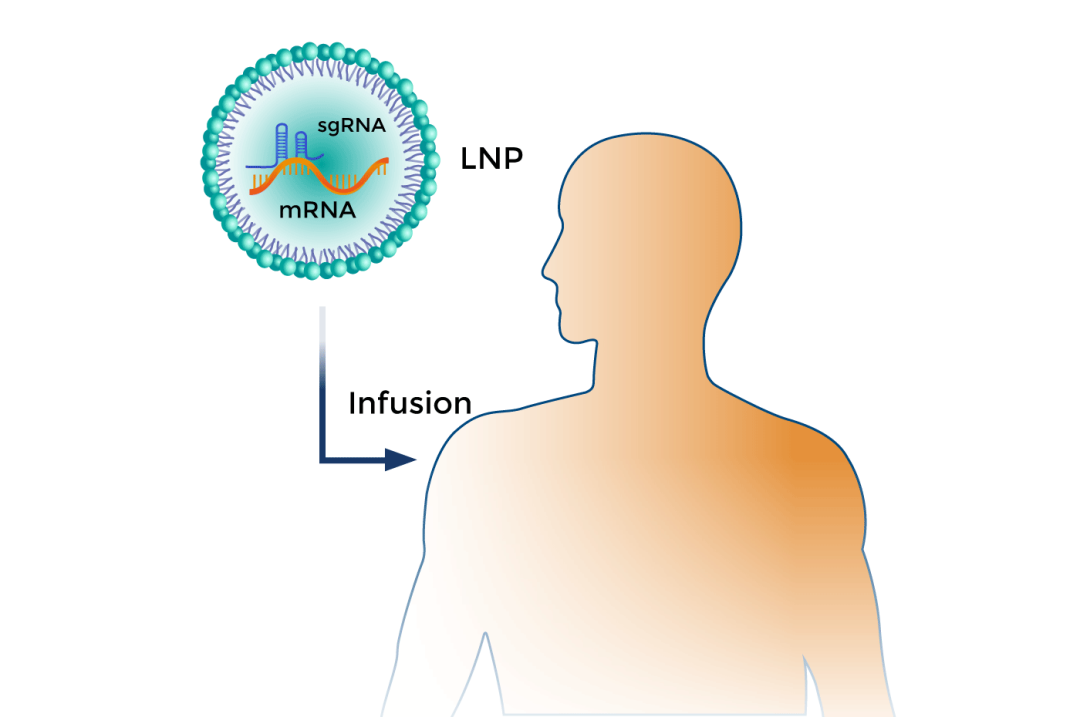 日韩欧美一区二区三区免费观看