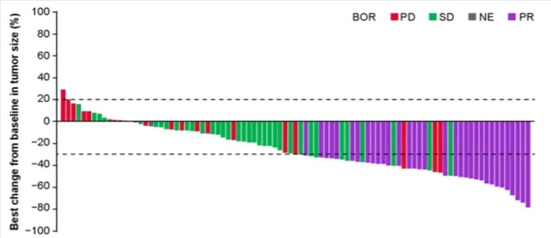 日韩欧美一区二区三区免费观看