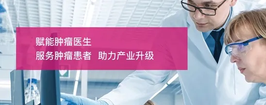 日韩欧美一区二区三区免费观看