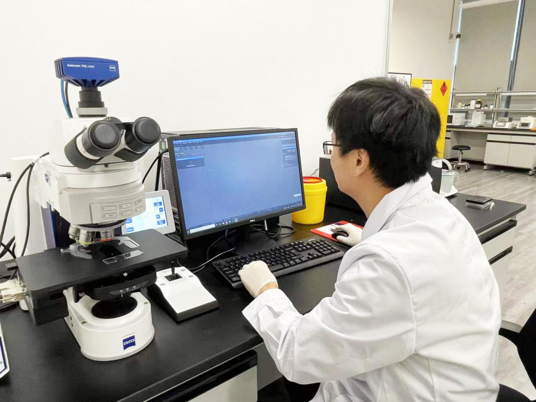 日韩欧美一区二区三区免费观看