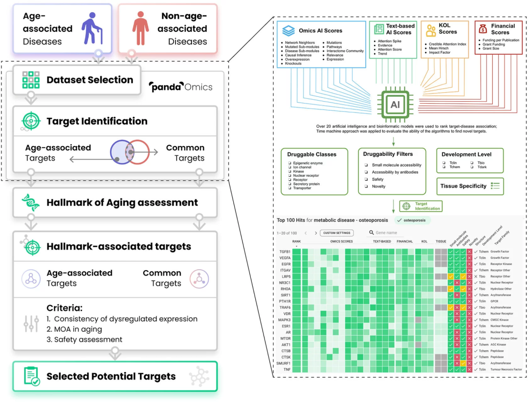 日韩欧美一区二区三区免费观看