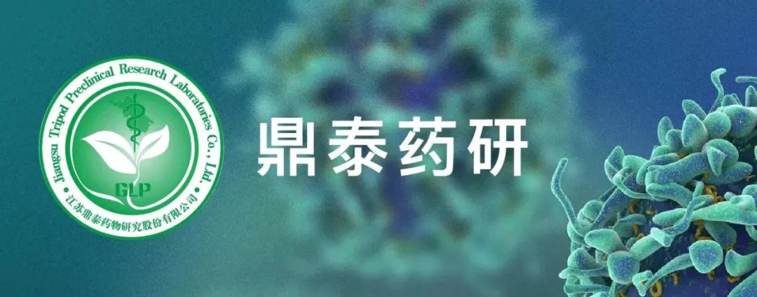 日韩欧美一区二区三区免费观看
