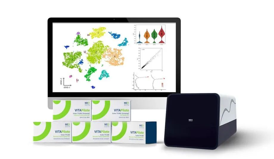 日韩欧美一区二区三区免费观看