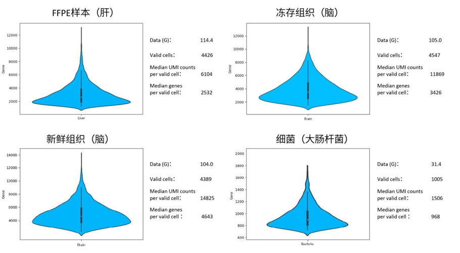 日韩欧美一区二区三区免费观看