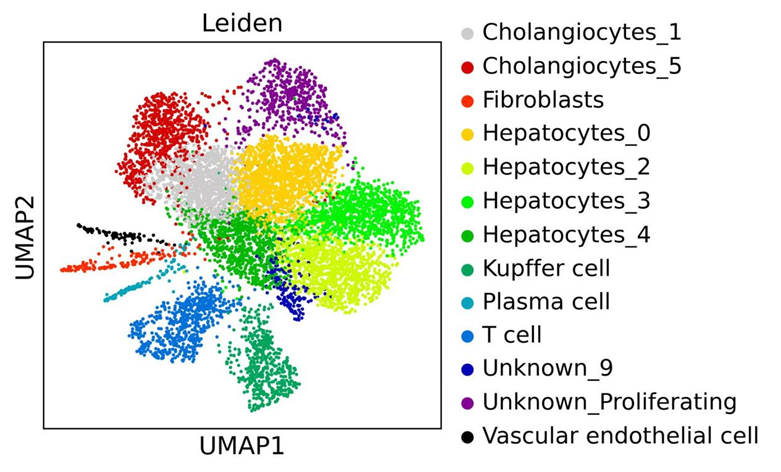 日韩欧美一区二区三区免费观看