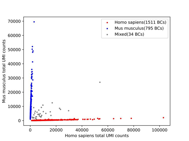 日韩欧美一区二区三区免费观看