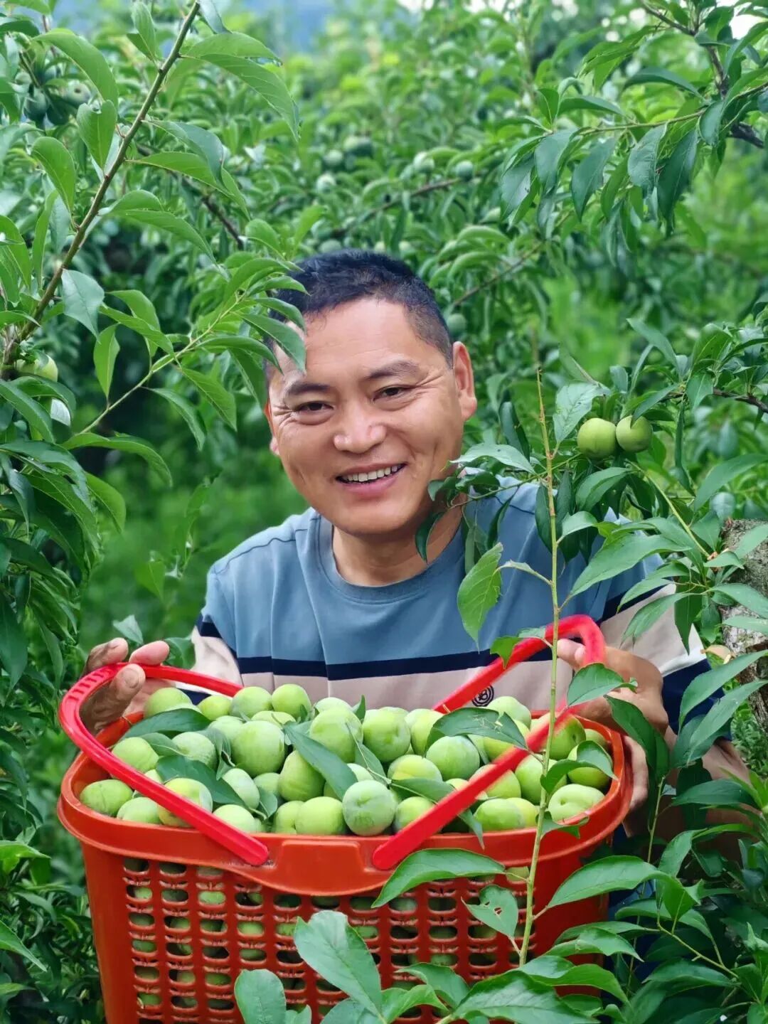 日韩欧美一区二区三区免费观看