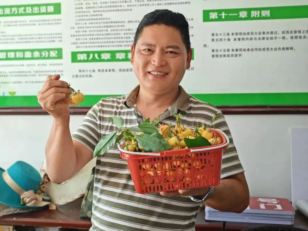 日韩欧美一区二区三区免费观看