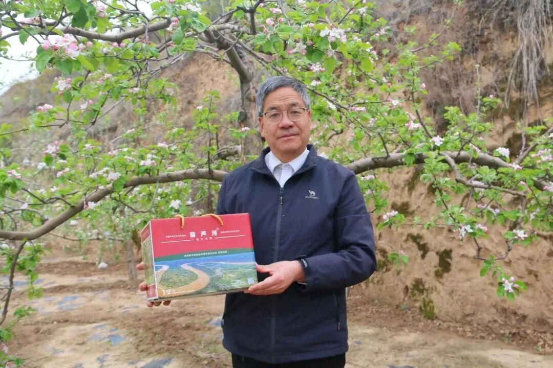 日韩欧美一区二区三区免费观看