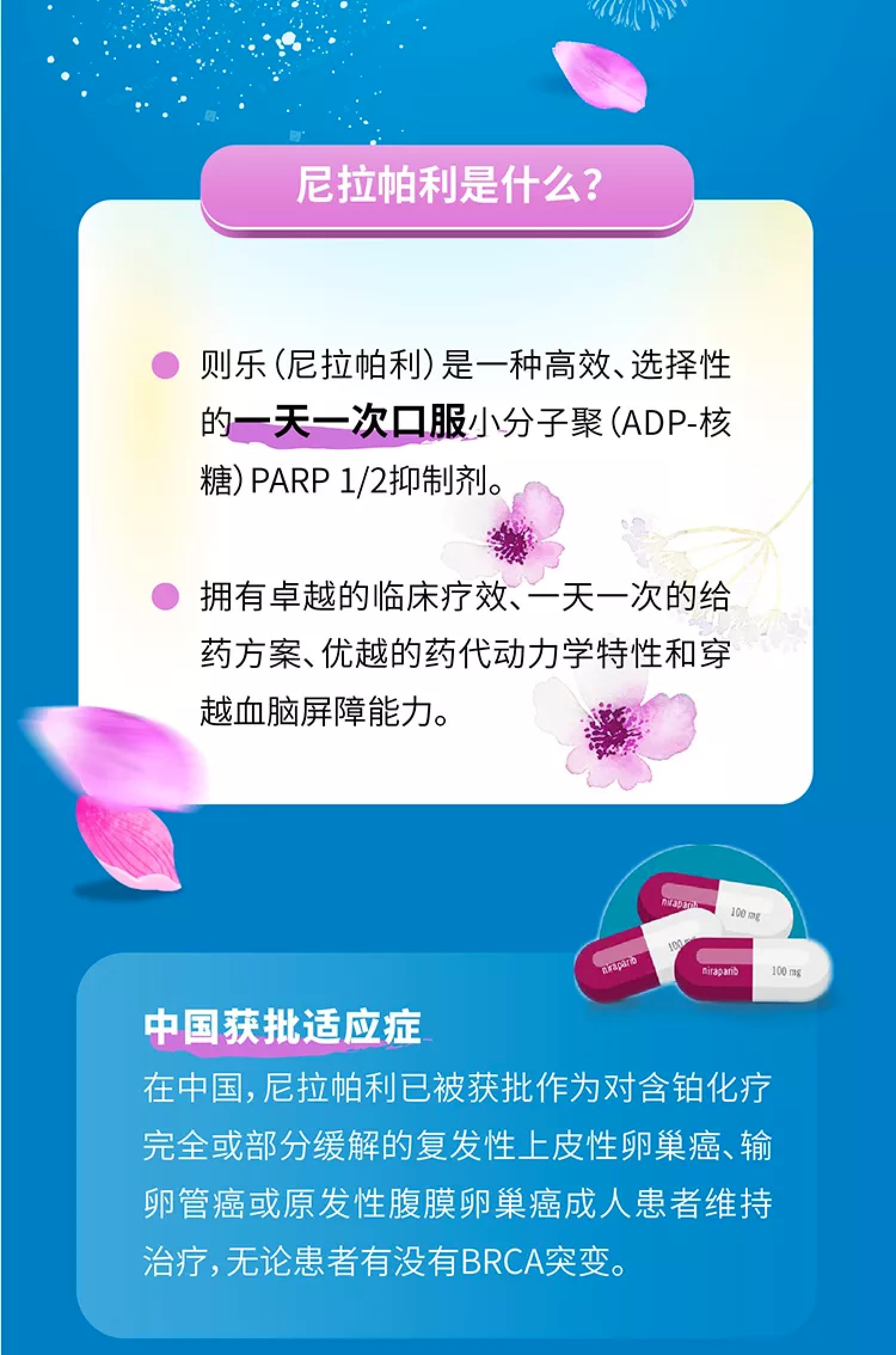 日韩欧美一区二区三区免费观看