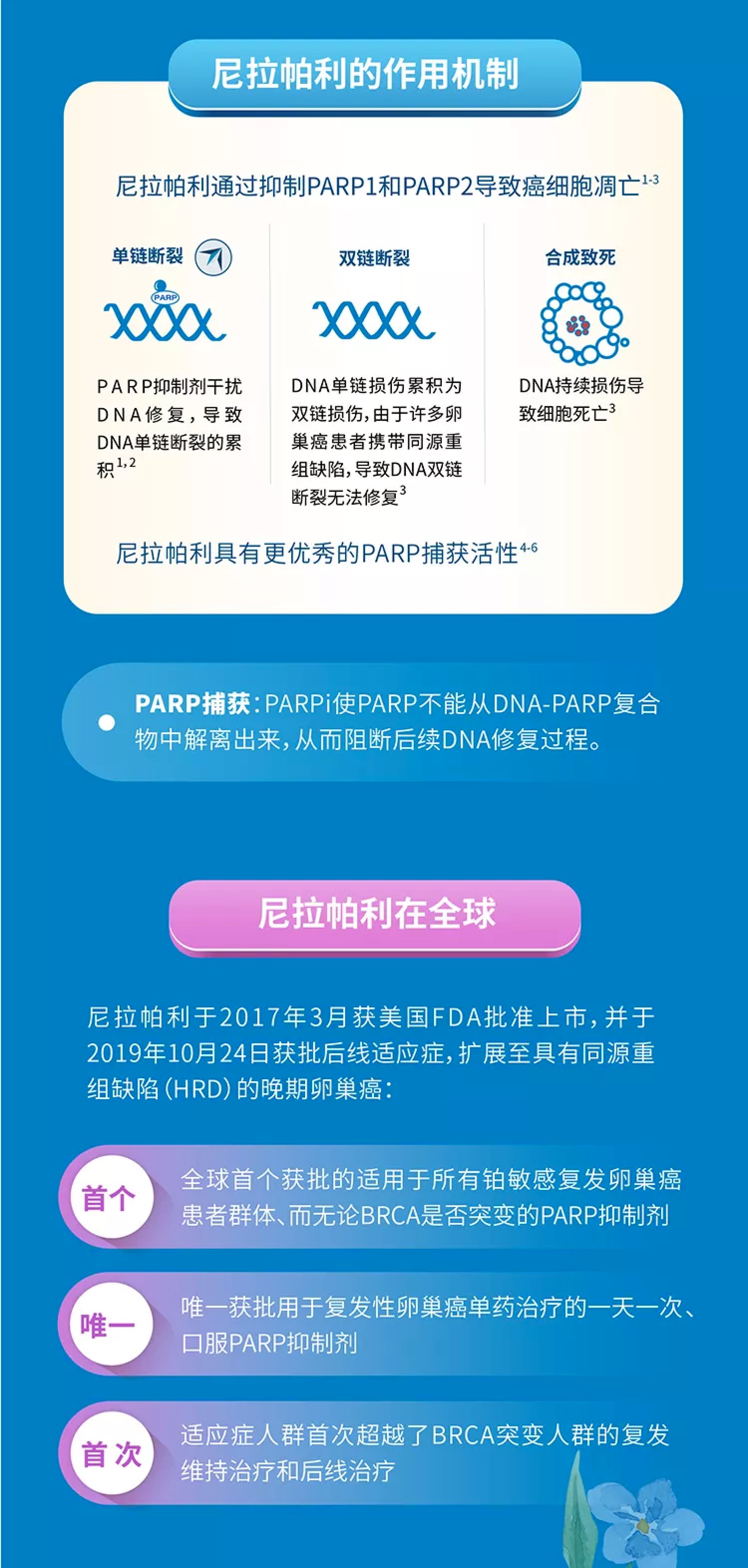 日韩欧美一区二区三区免费观看