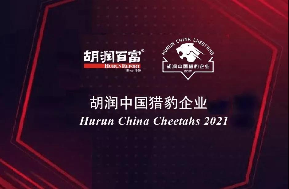 日韩欧美一区二区三区免费观看