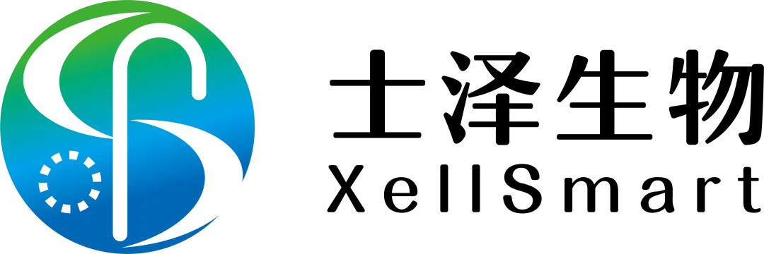 日韩欧美一区二区三区免费观看