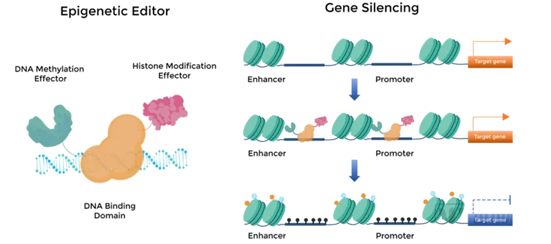日韩欧美一区二区三区免费观看