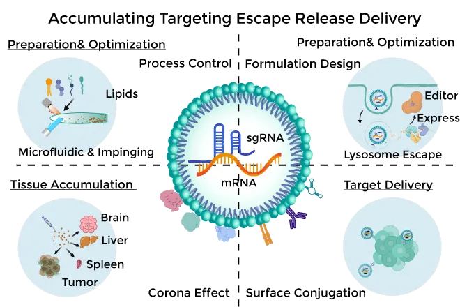 日韩欧美一区二区三区免费观看