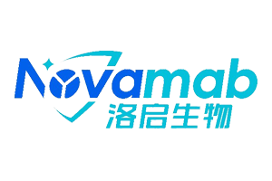 日韩欧美一区二区三区免费观看