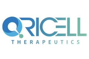 日韩欧美一区二区三区免费观看