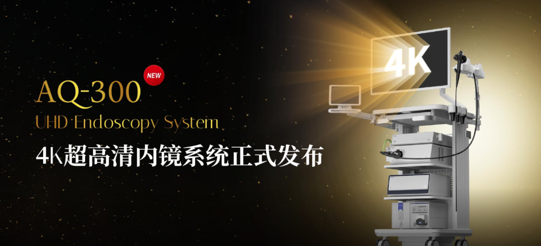 日韩欧美一区二区三区免费观看