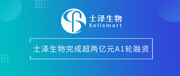 日韩欧美一区二区三区免费观看