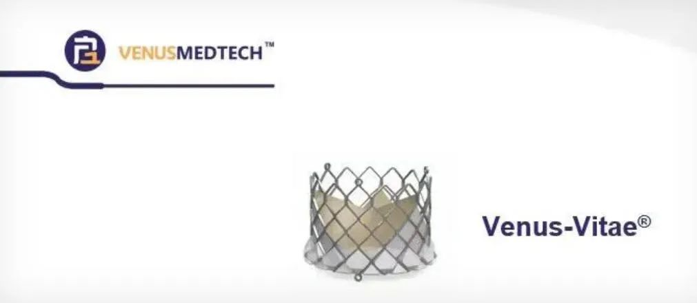 日韩欧美一区二区三区免费观看