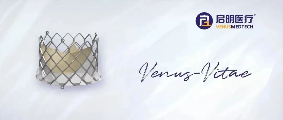 日韩欧美一区二区三区免费观看